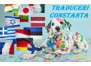 traduceri Constanta  traduceri Mangalia traduceri Medgidia traduceri Techirghiol traduceri Eforie  traduceri Cernavoda traduceri Navodari traduceri Cernavoda traduceri Harsova traduceri Ovidiu